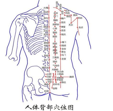 背部有痣代表什么|女人背部痣相与命运图解：痣的位置决定命运？